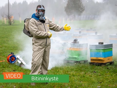 Video: Ką reiškė kulkosvaidžio diržas ant jūreivių krūtinės?