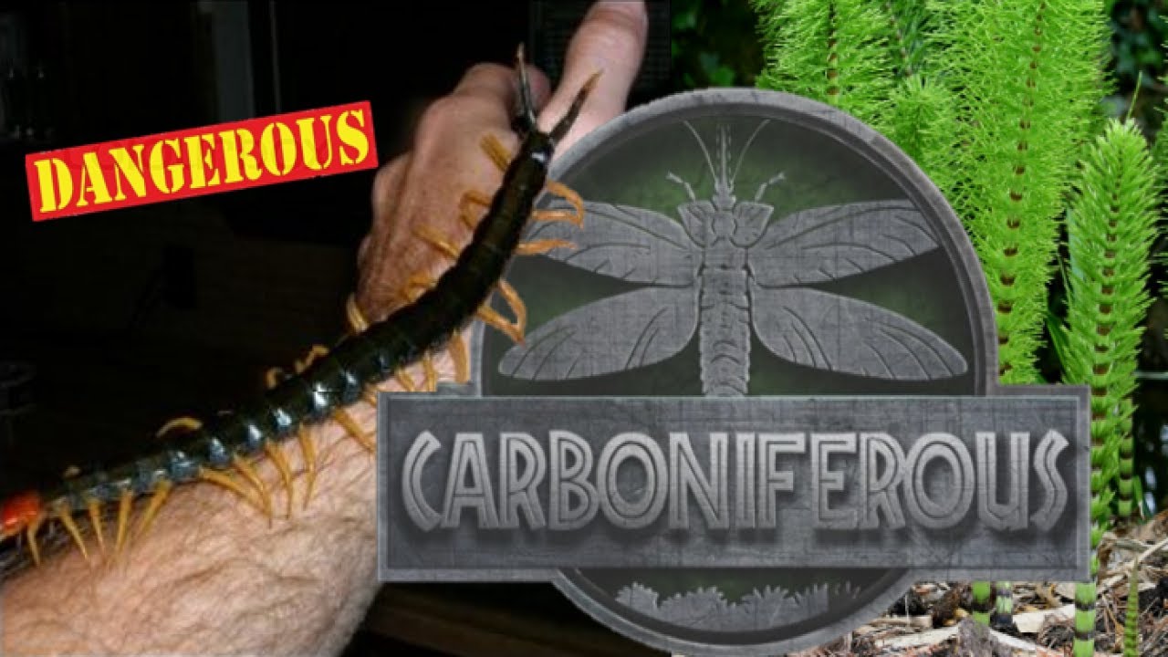 Fossil Fridays: Recreating Prehistoric Ecosystem (Dangerous!) Coal Forest