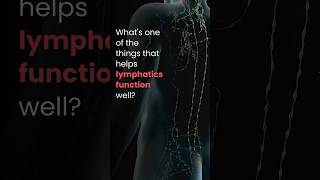 What Is One The Of The Things That Helps Lymphatics Function Well?