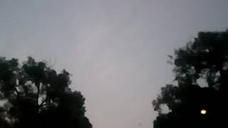 Bat sounds in the evening screenshot 5