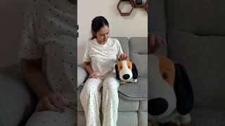 Momme hui doodle and toy me confuse 😅 #dog #funny #dogmom #relatable