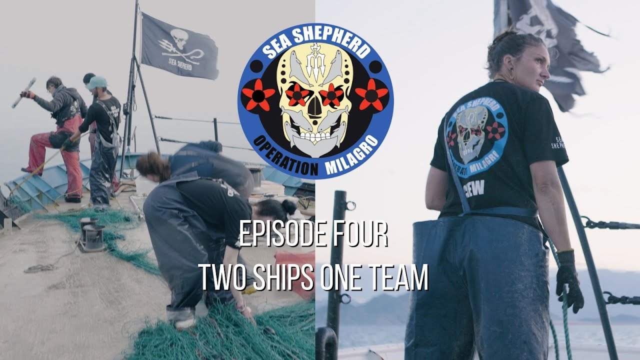 Op Milagro V Episode 4 - TWO SHIPS ONE TEAM
