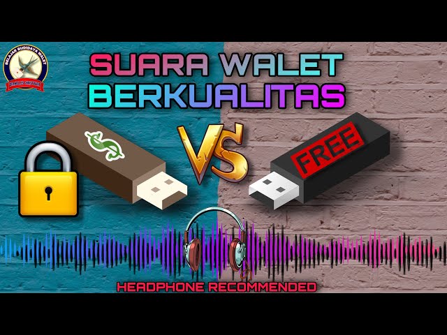 Suara Walet Yang Berkualitas #SuaraWalet class=