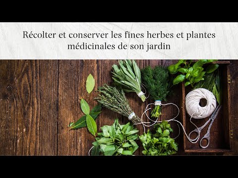 Vidéo: Comment Bien Récolter Les Herbes Médicinales