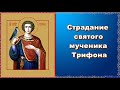 Страдание святого мученика Трифона