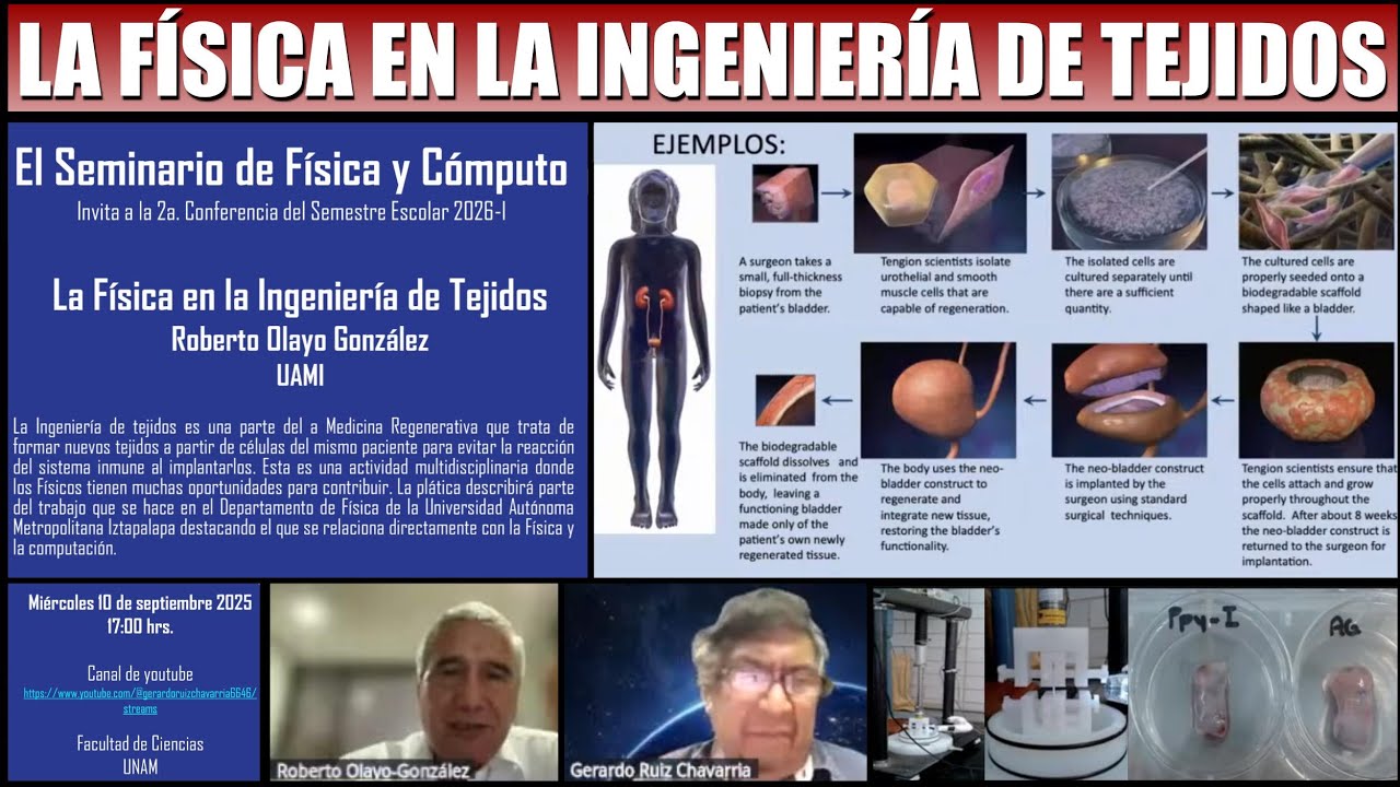 La Física en la Ingeniería de Tejidos
