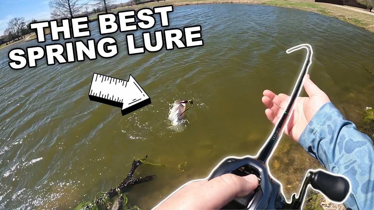 Searching for Giant Pre Spawn Bass at an Abandoned Gold Course!