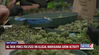 AG task force focused on illegal marijuana grow activity