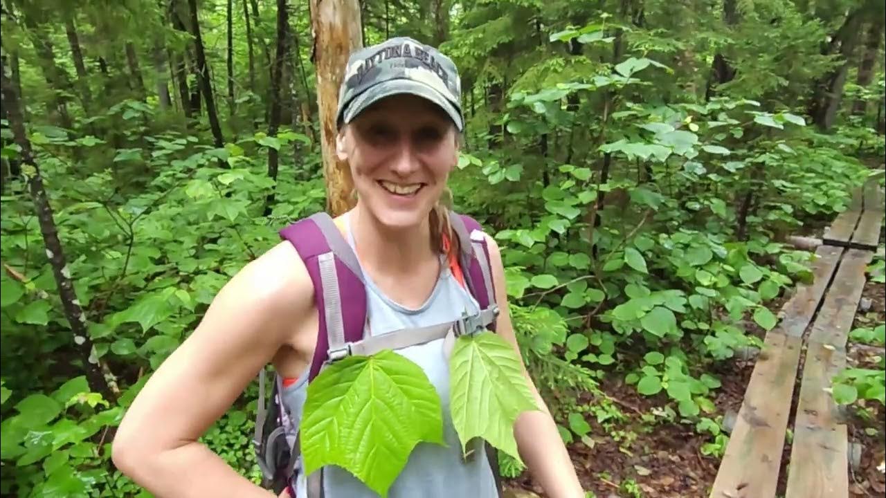 Stratton Pond Hike Vermont YouTube
