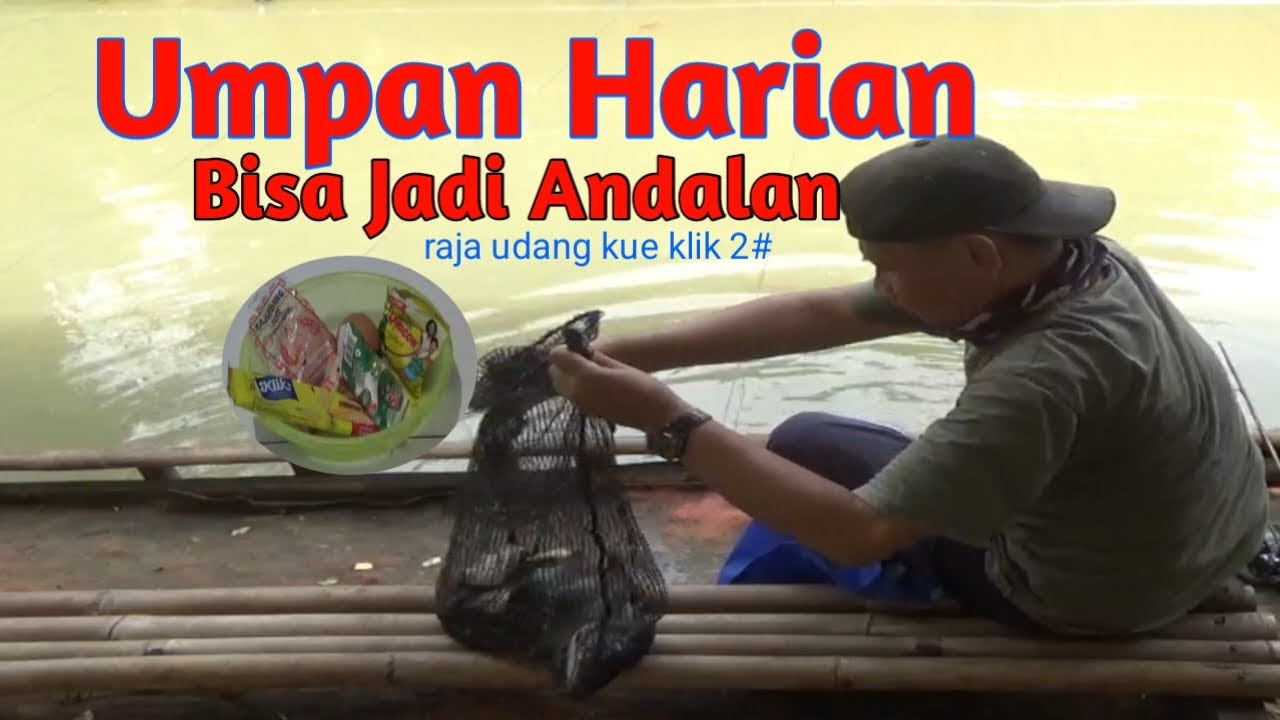 umpan harian raja udang kue klik@biasamancing2787