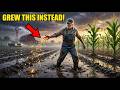 Thieves Stole Every Seed Before Planting — What He Grew Instead Shocked Farmers Nearby