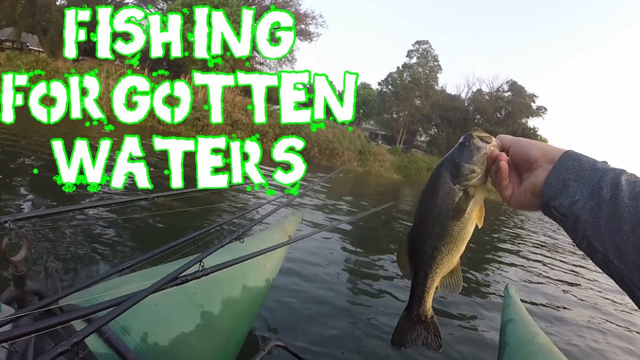 Public Pond Produces Good Fish ! | Emmarentia Dam Bass Fishing