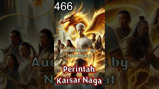 Perintah Kaisar Naga E466 #Novel #Silat #Kultivator #Wuxia