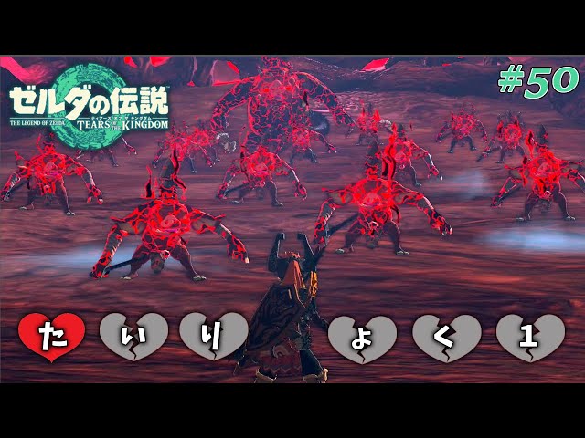 ゼルダの伝説 ティアーズ オブ ザ キングダム　　炭水化物大好き ゼルダの伝説 ティアーズ オブ ザ キングダム | My Nintendo
