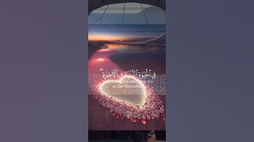 قصص وعبر - القرآن الكريم - تلاوة - تلاوات قرانيه