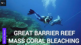 Australia’s Great Barrier Reef hit by mass coral bleaching | World News