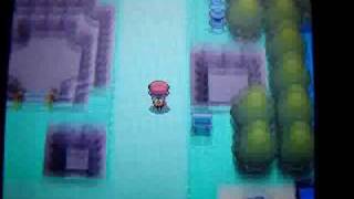 Shiny Torchic Hatches via Masuda Method