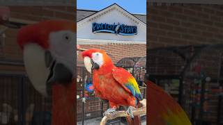 Meet Me at Parrot Stars 2025