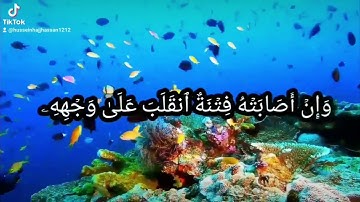 محمد صديق المنشاوي الآية ١١ من سورة الحج