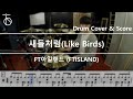 새들처럼(Like Birds) - FT아일랜드 (FTISLAND) Drum Cover