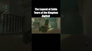 #shorts #zelda