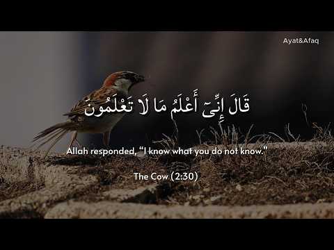 Surah Al-Baqarah 🌿 | A Journey of Faith, Mercy & Inner Peace | Soul-Soothing Quran Recitation