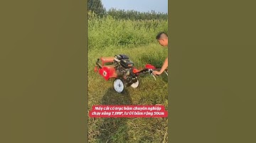 Máy cắt cỏ trục băm chuyên nghiệp chạy xăng #nông_nghiệp #automobile