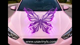 butterfly on car grok video d01e963b f025 48a5 bb4f b84e1fc856e3