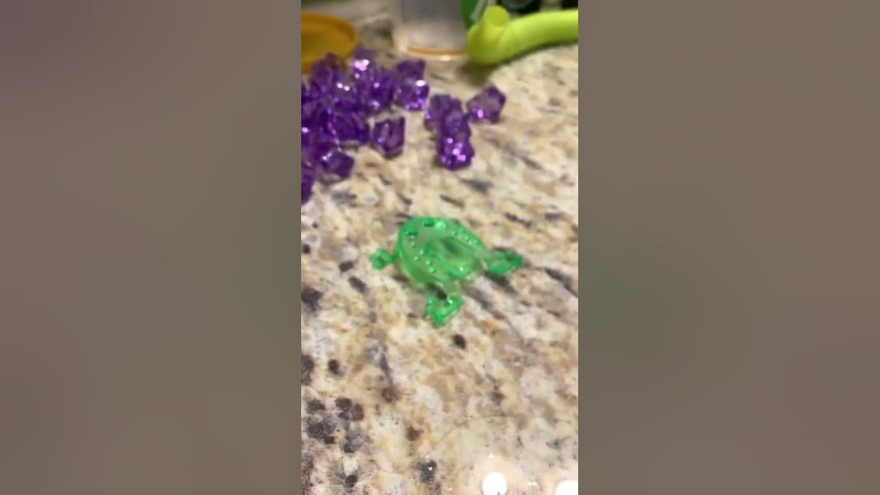 Frog adventure 5b - YouTube