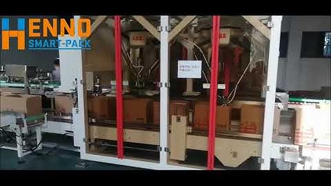ABB spider delte robot case packer