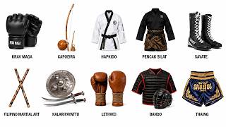 Every Martial Art Type Explained in 10 Minutes (Part 2)