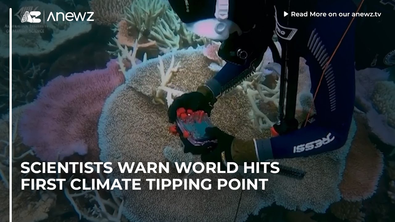 Scientists warn world hits first climate tipping point - YouTube
