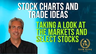 Stock Charts and Trade Ideas: Active Trading in the Markets with Technical Analysis