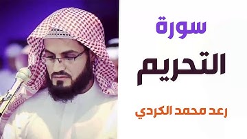 سورة التحريم - رعد الكردي