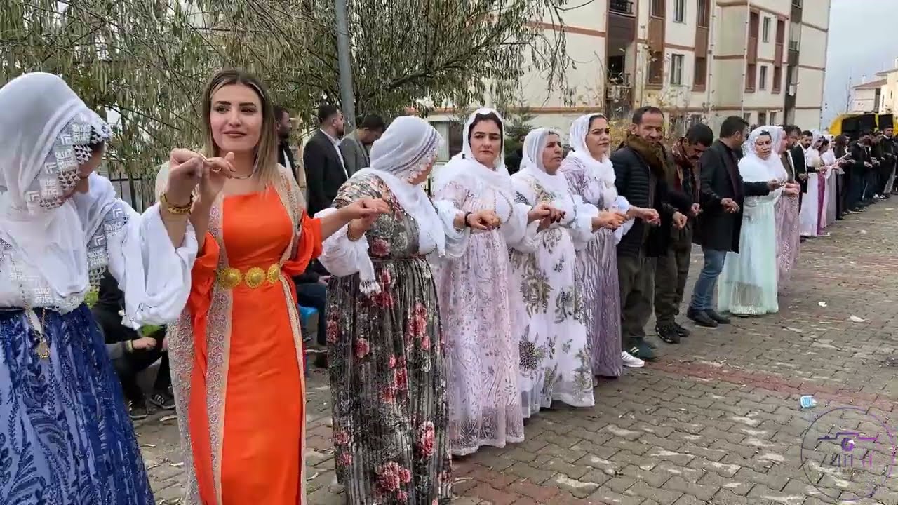 Ömer BARKIN Düğün Özel Bölüm