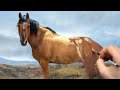 HORSE PAINTING TIME-LAPSE | Wet on Wet