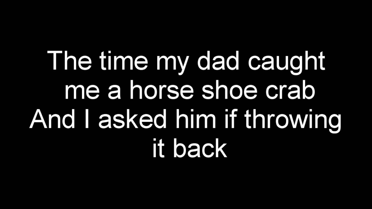 fall out boy - the shipped gold standard lyrics