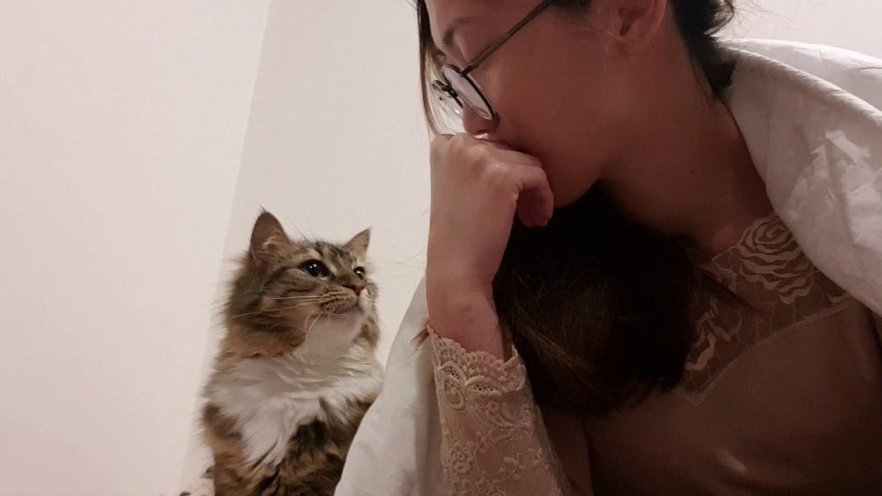 Hooman why you no luv me