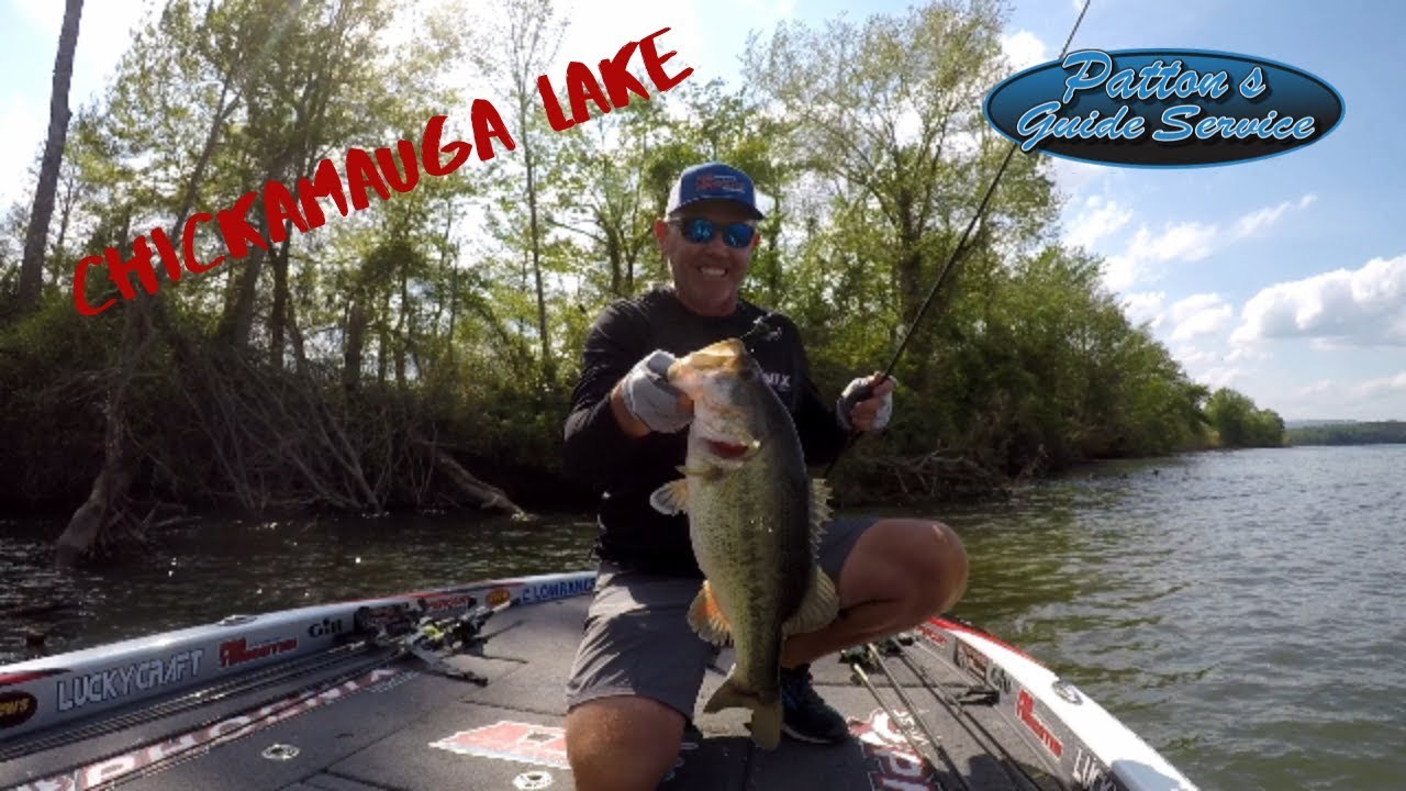 Bass Fishing On Chickamauga lake YouTube