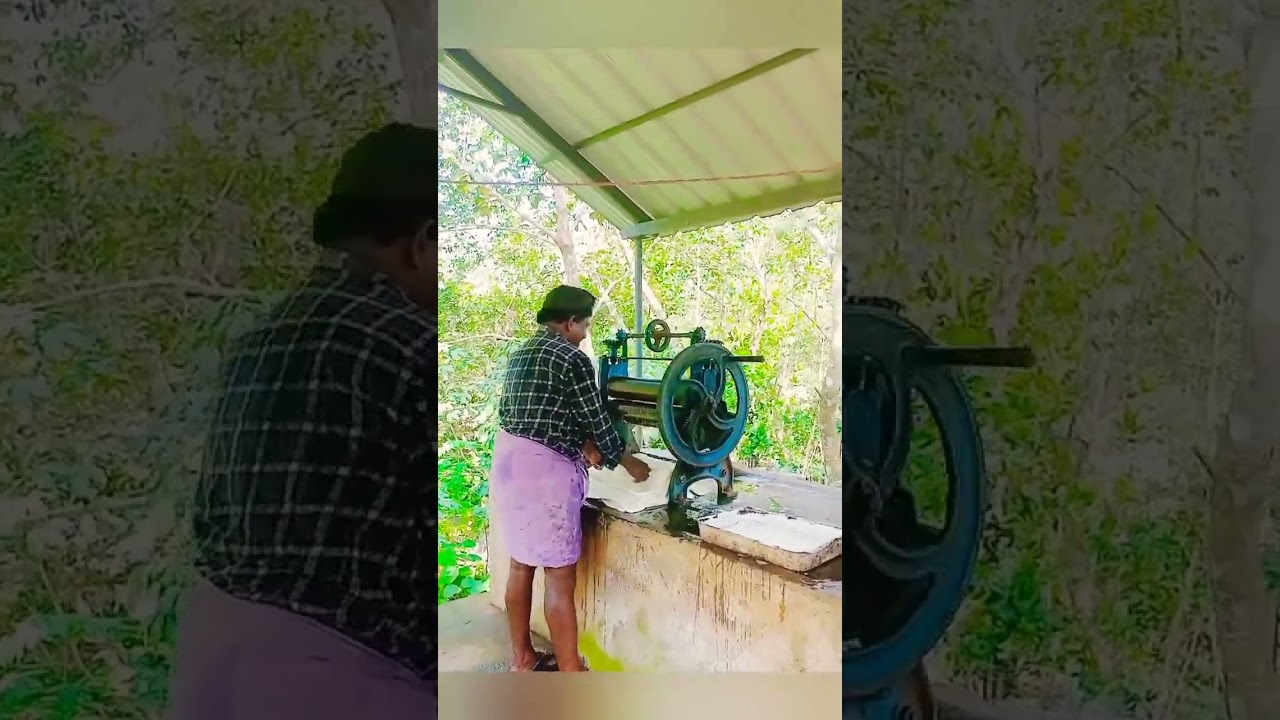 rubber into its sheet