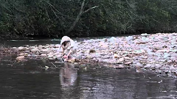 LIFE CRISIS (official music video)