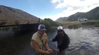 Reel Recovery Idaho 2016