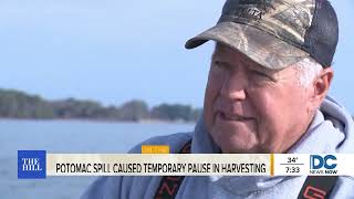 Maryland s oyster industry was facing challenges Then the Potomac River sewage spill happened