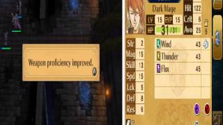 Fire Emblem Awakening (Einherjar Series) DLC EXPonential Growth