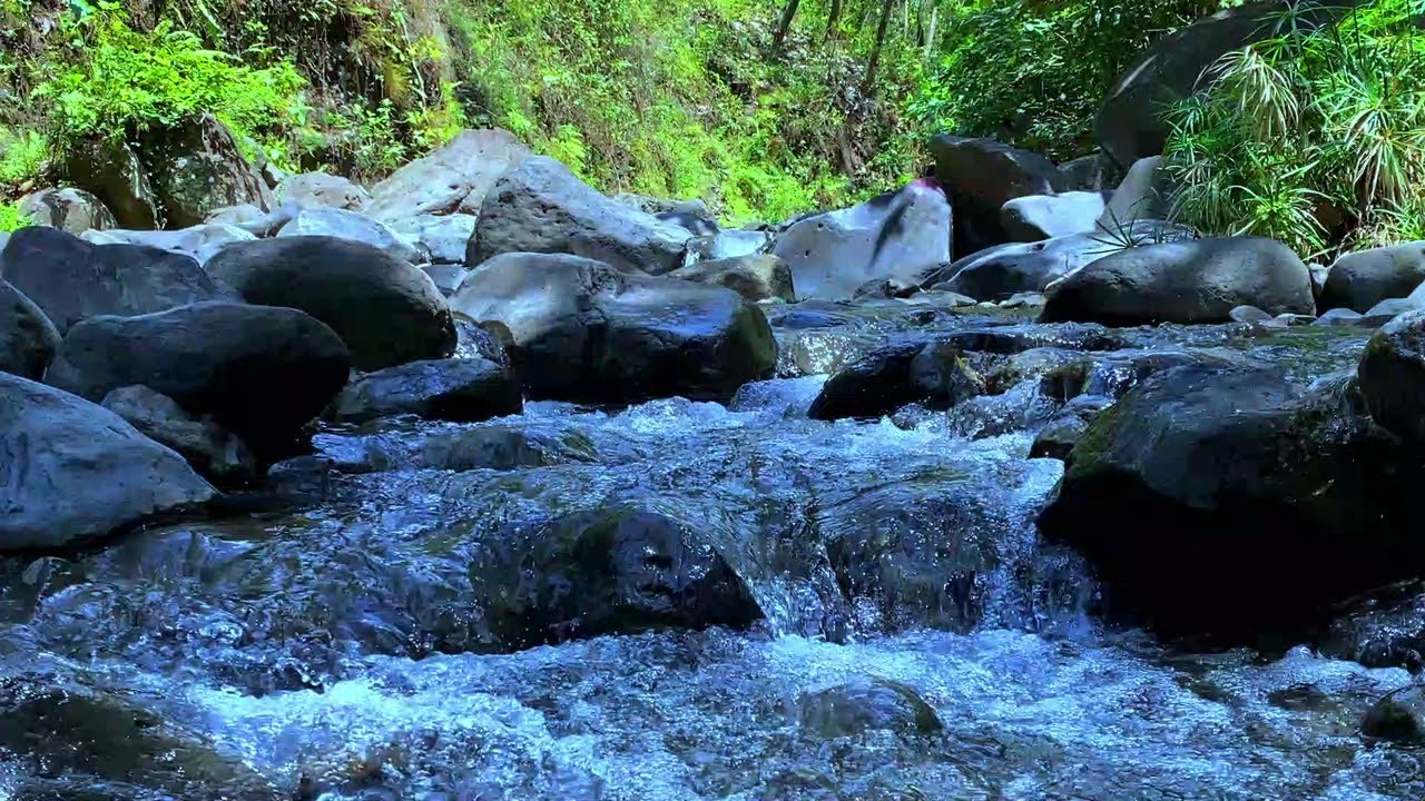 Gentle River Flow for Calm, Focus, and Study Sounds