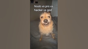 noob vs pro vs hacker vs god