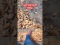 #latamangeshkar#travel#trending#shortvideo@sakilove8882