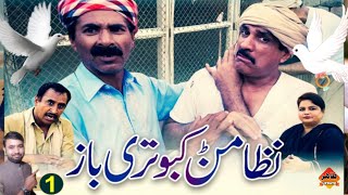 Nizami Kabutry Baaz | Akram Nizami | TP Comedy | Tahir Update