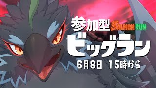 【Splatoon3】参加型でビッグビッグランいくぞ！！！みんな丸太は持ったか！！！【#ヤギスト】