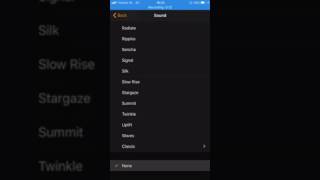 How to set only vibration for alarms iOS screenshot 3